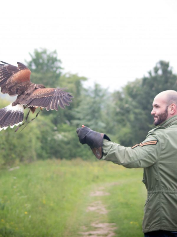 Birds of Prey Centre - All You Need to Know BEFORE You Go (with Photos)